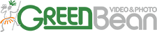 GreenBean
