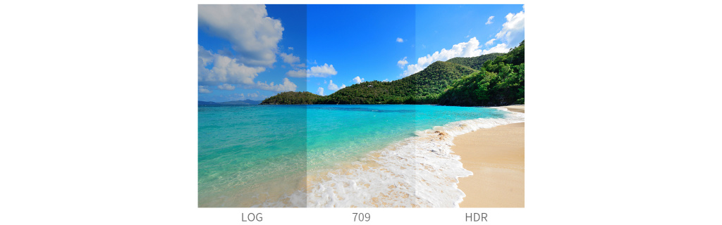 33 встроенных 3D LUT, включая S-log 2/3, V-log, C-log 1/2/3, Log-C, J-log1, Redlog,BMD, FujiFilm, GoPro, DJI – для преобразования Log каринки в REC 709. Поддержка High Dynamic Range (HDR).