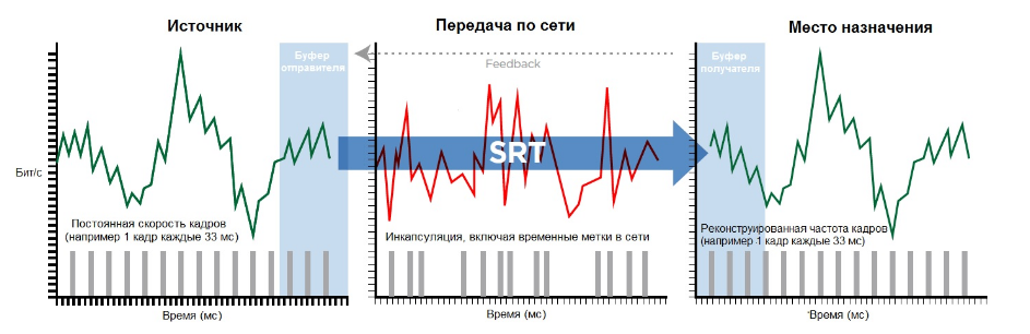 SRT 2_25877.png