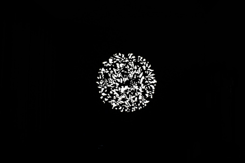 NANLITE AS-GB-FZ60-SET2